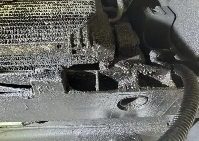 Professional Auto Repair